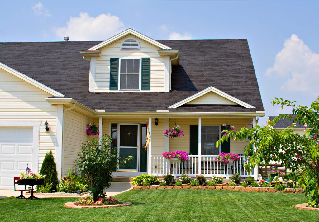 D's House